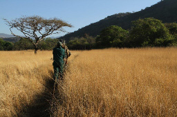 Red Ivory Safaris