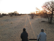 Red Ivory Safaris