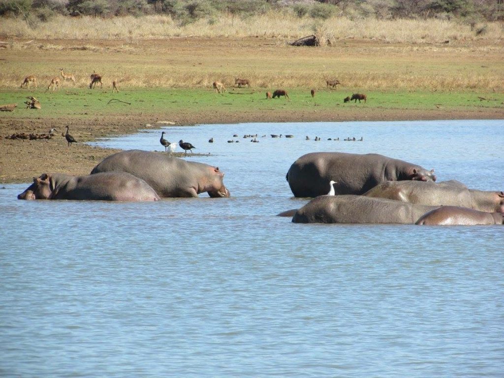 Red Ivory Safaris