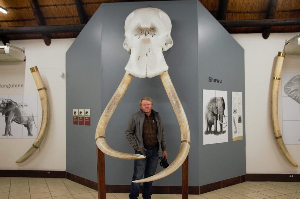 Red Ivory Safaris