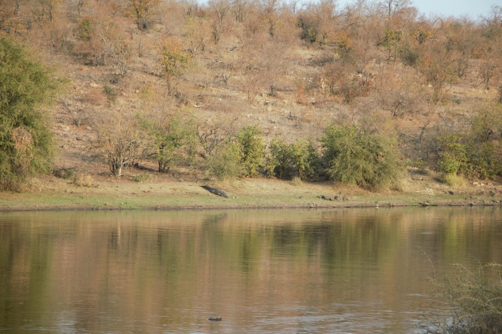 Red Ivory Safaris