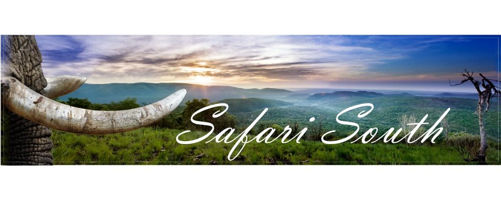 Red Ivory Safaris