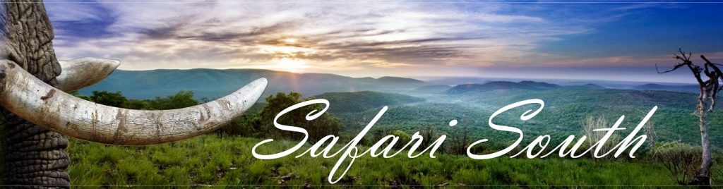 Red Ivory Safaris