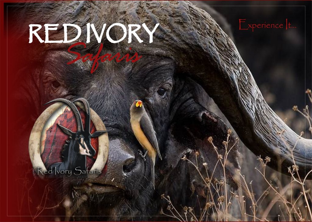 Red Ivory Safaris